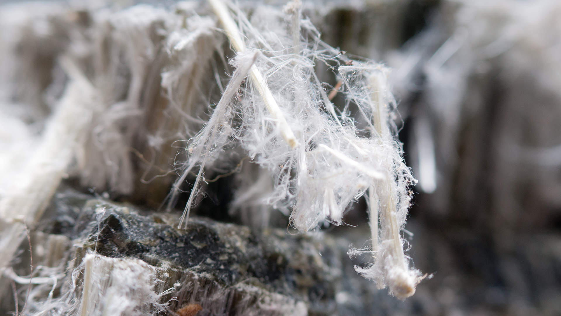 Unveiling the Dangers: Asbestos Exposure and Mesothelioma Risks...